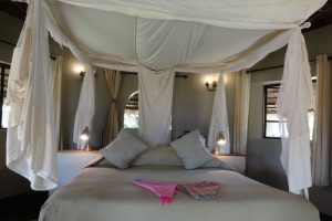 Zambia, safari, reis, south luangwa, lodge