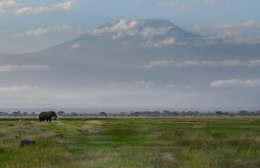 Kilimanjaro ©Marielle de Valk  Osotua